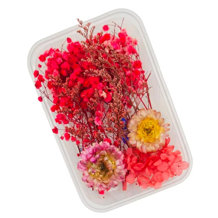 Mixed Dry Flower Box DIY554