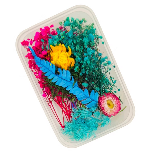 Mixed Dry Flower Box DIY556