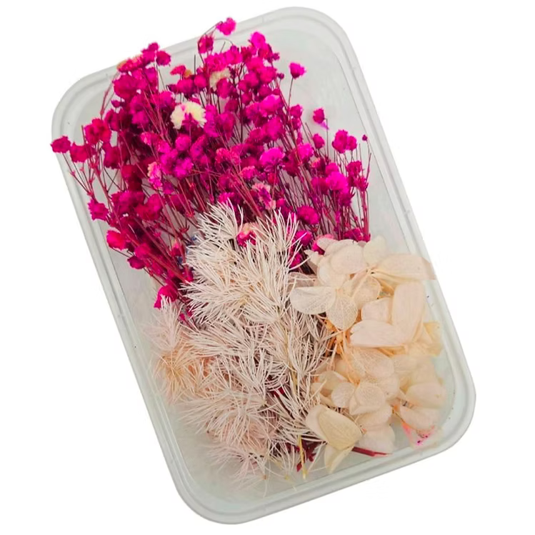 Mixed Dry Flower Box DIY559
