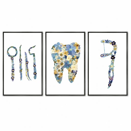 Dental Wall Art Frames Set of 3 – A3 Dentist Clinic  with Tooth & Dental Tools