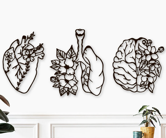3 Piece Wood Wall Art, Medical Office Decor, Doctor Gift, Human Anatomical, Heart Brain Lungs with Flower, Nurse Room Decorations